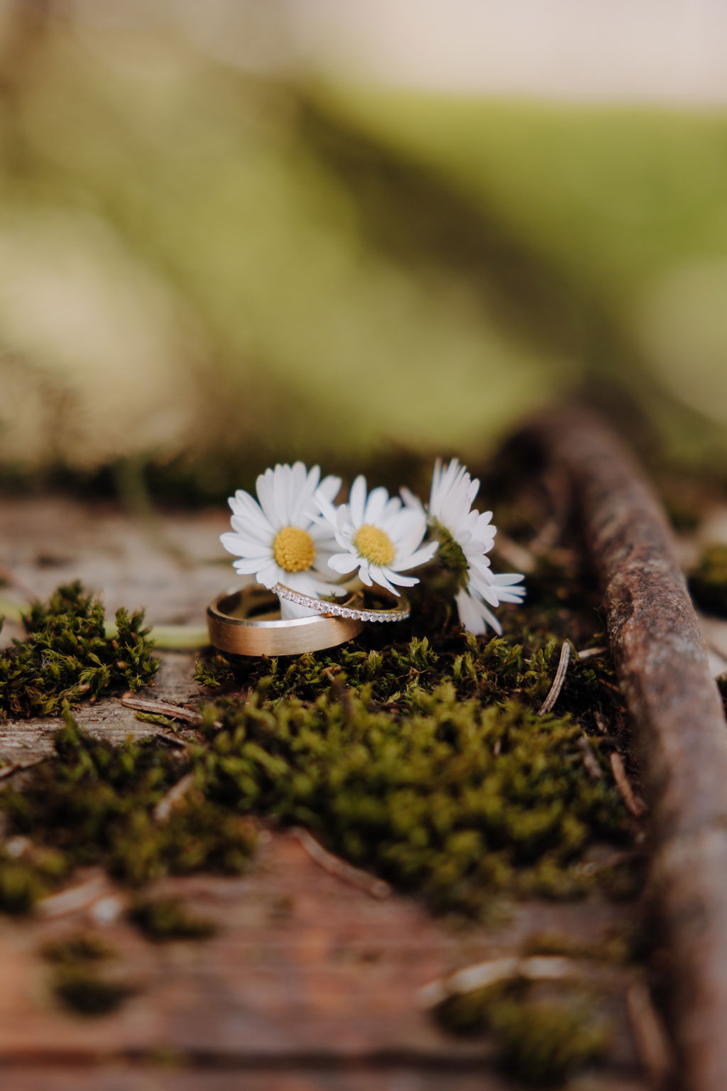 Hochzeitsreportage gut leben Hochzeitsfeier auf Bauernhof vierseitenhof mit garten Detail Eheringe Hochzeitsfeier hochzeitsfotograf berlin hochzeitsfotograf Brandenburg Werneuchen Standesamt Hochzeitstanz Paarfotos im Sommer wiese