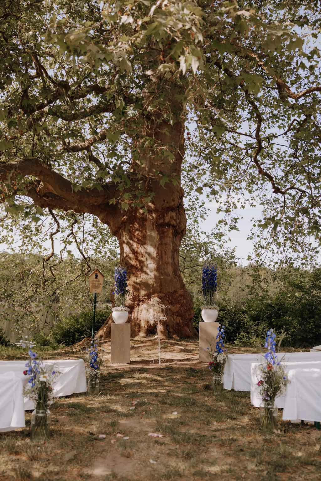 Hochzeitslocations in Berlin und Brandenburg 167 Hochzeitsfotos Landgut Stober getting ready braut Bräutigam make up schlepper haare Kleid anziehen Anzug details heiraten 2024 hochzeitsfotograf berlin Brandenburg location