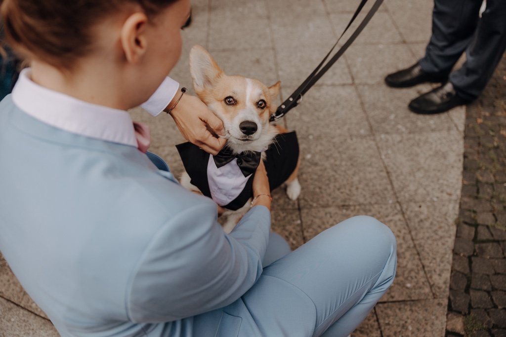 heiraten Rathaus Schöneberg berlin Standesamt standesamtliche Trauung hochzeitsfotograf berlin heiraten 2024 gleichgeschlechtliche ehe bunte Hochzeit mit Fahnen Regenbogenflaggen