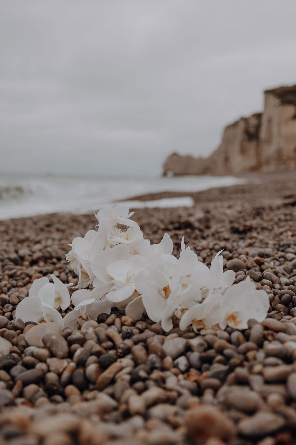 heiraten in Frankreich elopement wedding tiny wedding Hochzeit in weiß blau und direkt am Strand heiraten zu zwei in berlin Berliner hochzeitsfotograf in der Normandie Berliner Fotografin fliegt ins Ausland für Hochzeitsfotos und fotografiert deine Hochzeit als Hochzeitsfotografin tablesetting von lovedestinationweddings via aus berlin weddingplanerin Muscheln Menükarten Brautstrauß