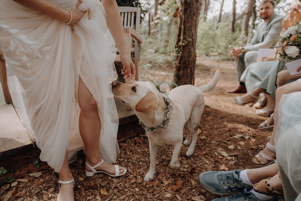 hochzeitsfotograf im farmhouse in wandlitz in Brandenburg bei berlin hochzeitslocation in der Natur festivalwedding Festivalhochzeit Fotograf fotografiert hochzeit trauung freie trauung waldkapelle