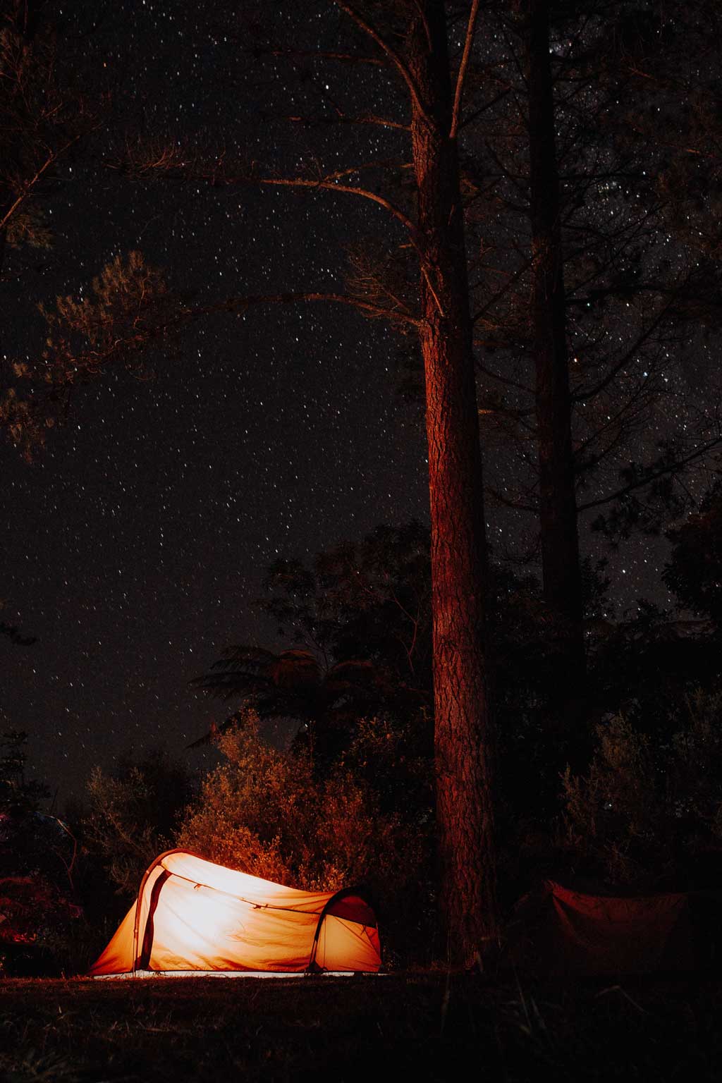 Maria Brussig Fotografin aus Berlin Hochzeitsfotografin Familienfotografin about me